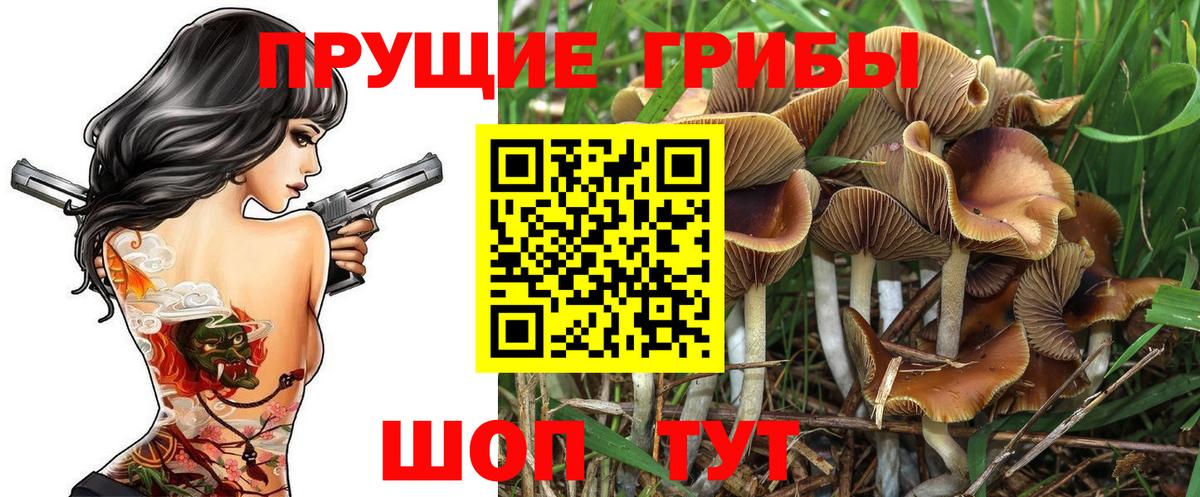 Псилоцибиновые грибы мухоморы Мыски